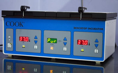 Cook MINC benchtop trigas incubator with three digital temperature displays used for blastocyst culture.