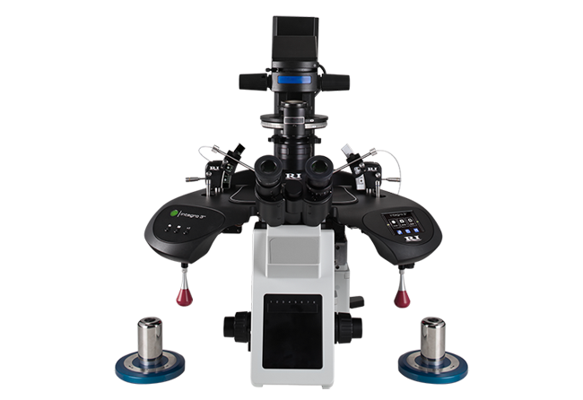 Inverted ICSI microscope workstation with micromanipulators for intracytoplasmic sperm injection.