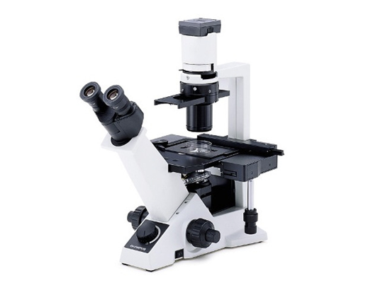 Olympus inverted biological microscope used for live embryo observation and assessment.